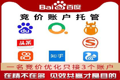 SEM托管代运营服务案例解析